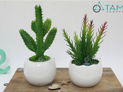 Chậu hoa giả để bàn xương rồng mini số 62